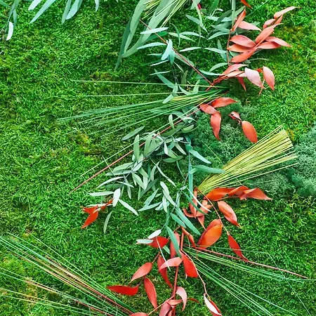 Ibis Budget Chateau-thierry Hotel